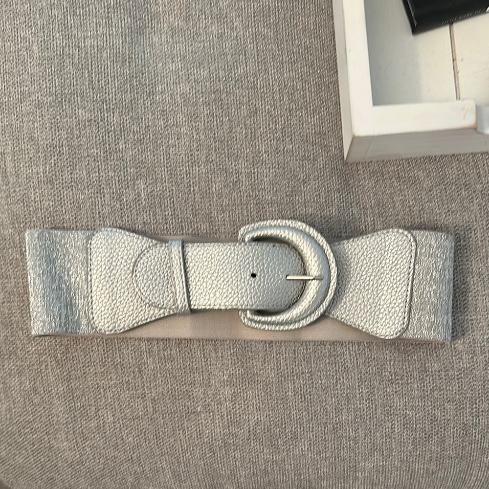 Shiny silver belt